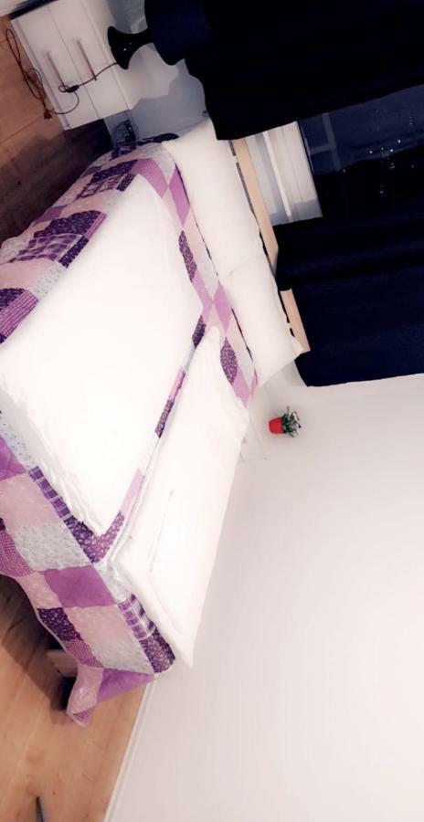 Sehr Schoene Drei Zimmer Deluex Wohnung In ジンデルフィンゲン エクステリア 写真